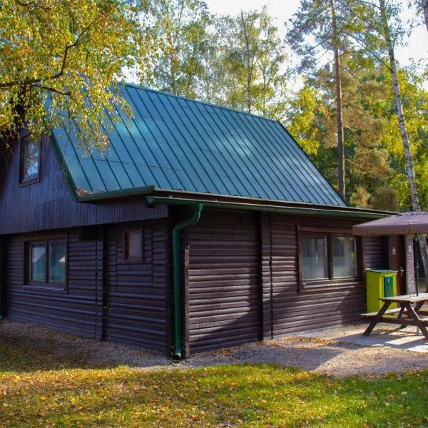 Holiday Home Kemp Stříbrný rybník-6 by Interhome, Hotel in Hradec Králové