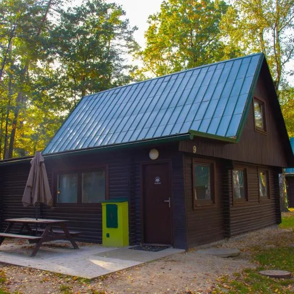 Holiday Home Kemp Stříbrný rybník-9 by Interhome, hotel in Hradec Králové