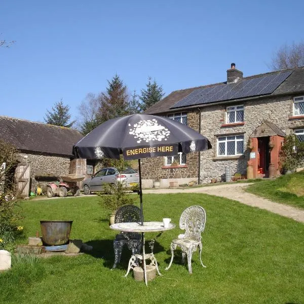 Five Saints Farmhouse B&B, hotel in Llanycrwys