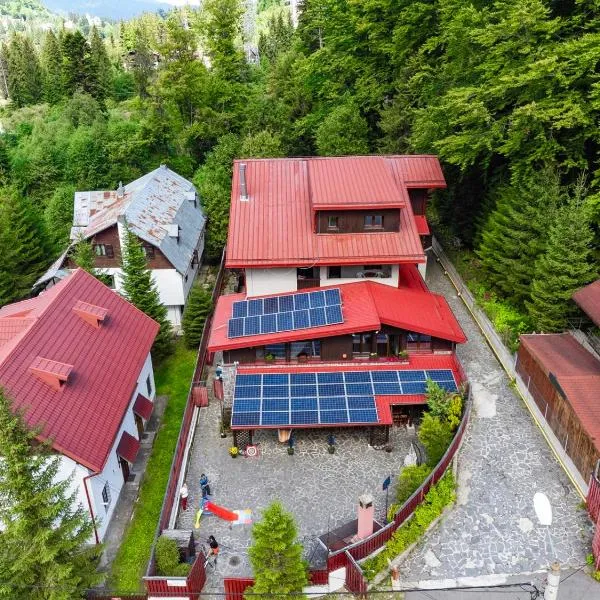 Pensiunea Cornelia, ξενοδοχείο σε Predeal