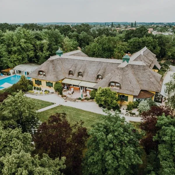 Nyerges Hotel Termál Superior, hotel v destinaci Monor