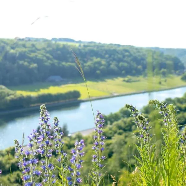 Retro getaway at the Meuse valley, hotel in Waulsort