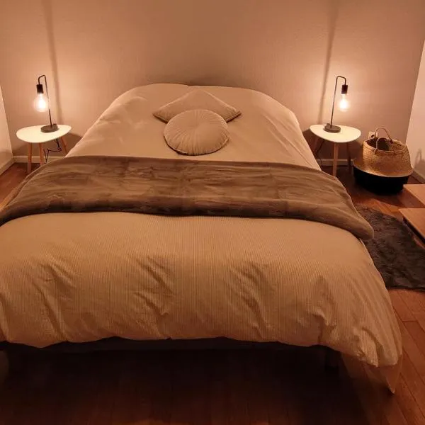 2p lumineux au Cœur de Strasbourg, hotel in Strasbourg