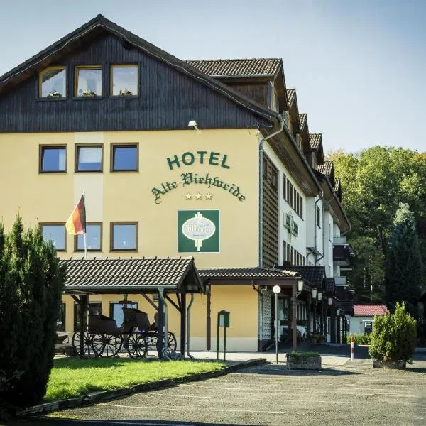 Hotel Alte Viehweide, hotel in Quirnbach