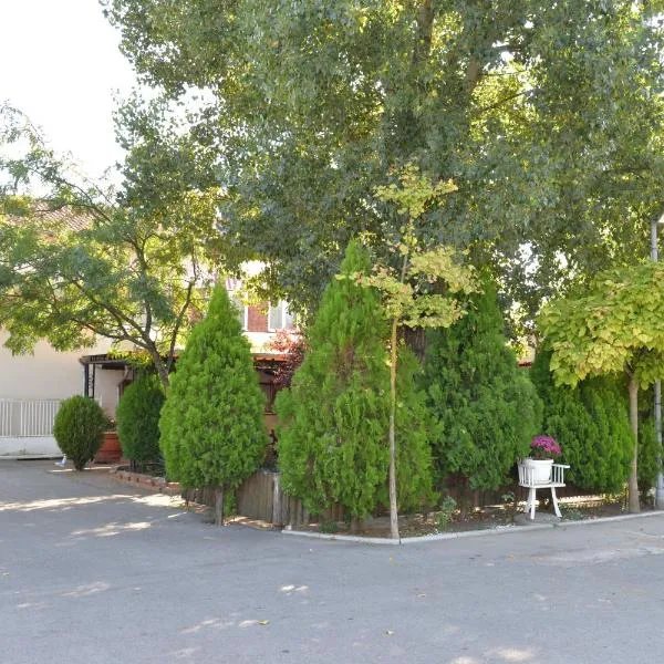 Apartman Ivana, hotel in Požarevac