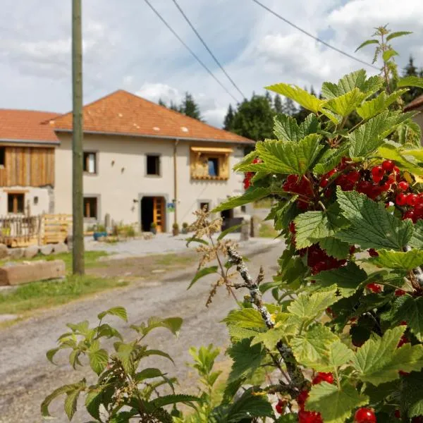 La Ferme de Jean entre lacs et montagnes, hotel en Le Ménil