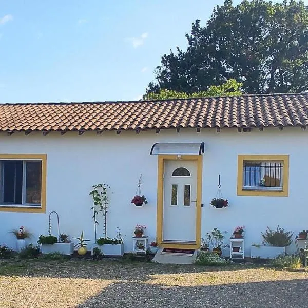Gite aux fleurs, hotel in Hagetmau