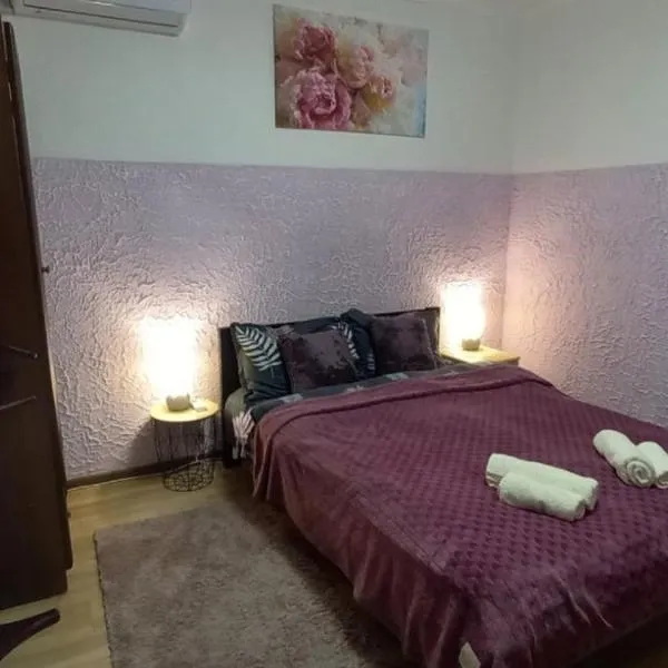 Апартаменти в гостьовому будинку, hotel in Mukacheve