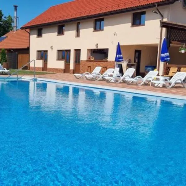 Cusali Pensiune โรงแรมในTopolovăţu Mare