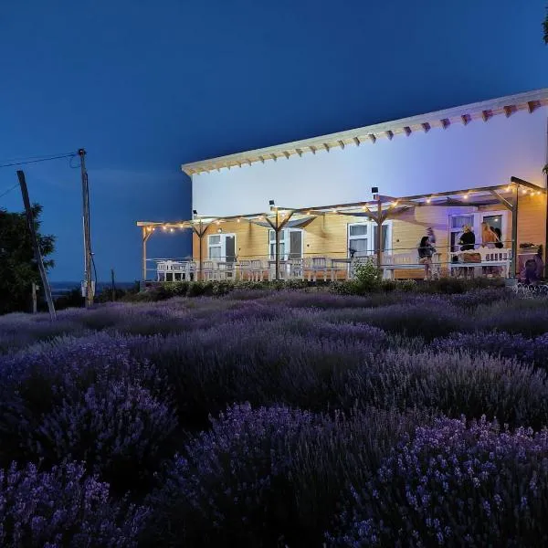 Levendulászat, hotel v destinaci Simontornya