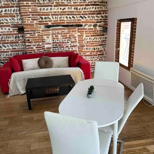 Appartement de charme Toulouse nord, viešbutis mieste Aucamville