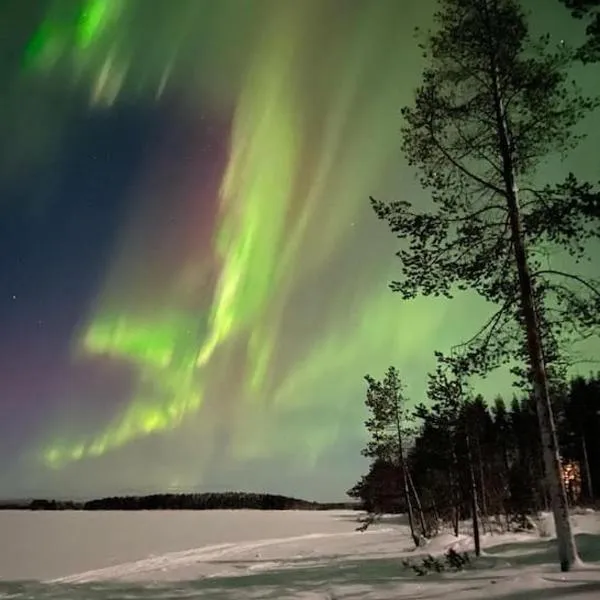 Wilderness Cabin Onnela with sauna, hotel in Rovaniemi