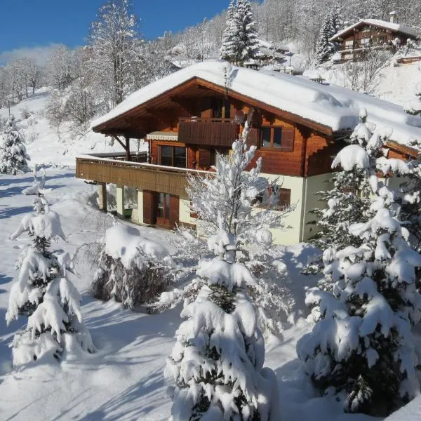 Chalet Gypaète, hotel v destinaci La Clusaz
