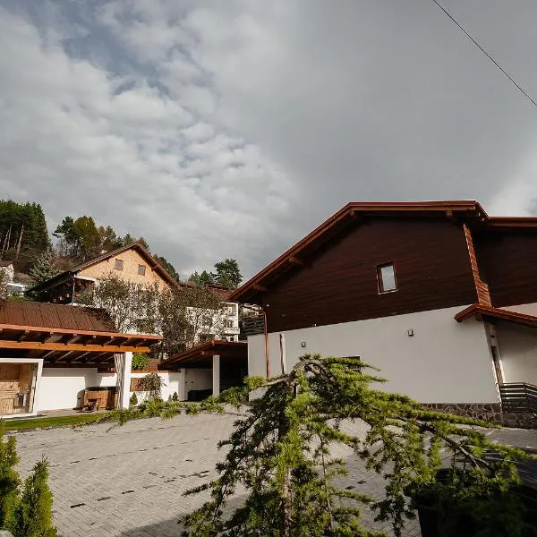 Casa Mecva, hotel v destinaci Borşa