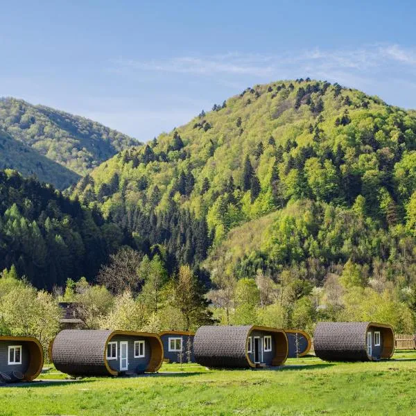Рибничанка, hotel v destinaci Schidnycja