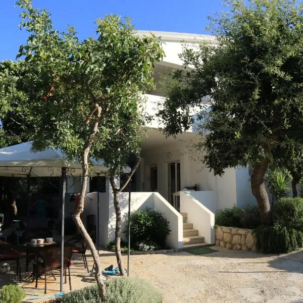 Apartments Silva, hotel in Novalja