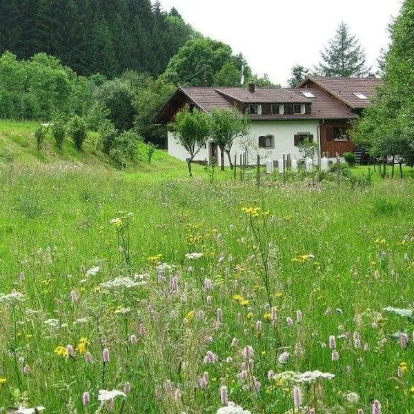 La Scierie, hotel v destinaci Lubine