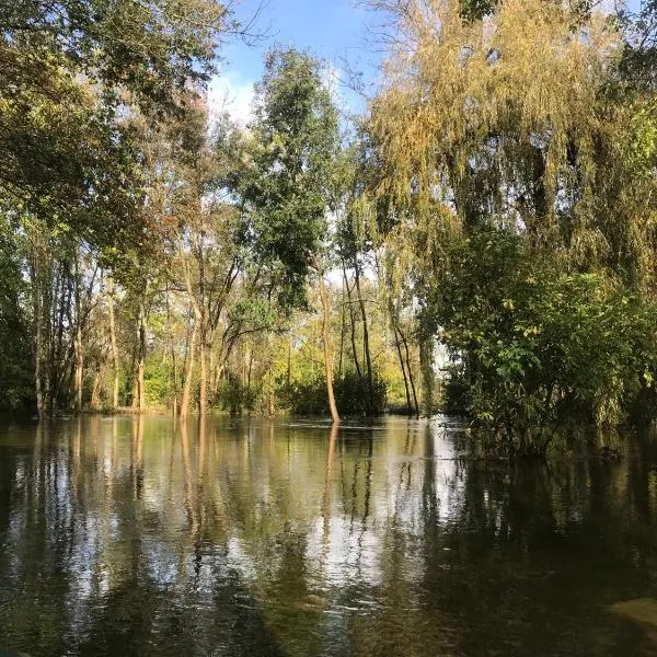 Ancien moulin à eau sur la Seugne, מלון בMosnac