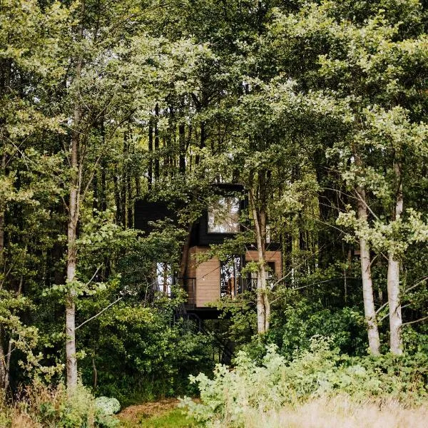Dziki Las - domki na drzewach, hotel en Miłomłyn