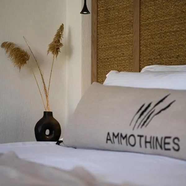 Ammothines Beach Suites, hotel v destinaci Chrysi Ammoudia