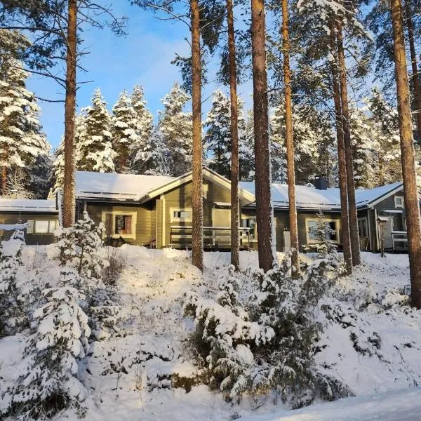 Villa Aleksi, hotel in Jaatila