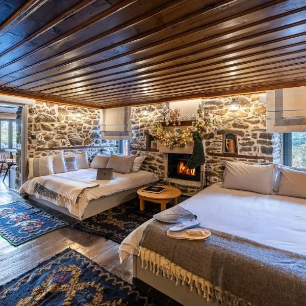 Dandy Villas Metsovo-Mezzo-Down Town-Up 5, hotel v destinaci Metsovo