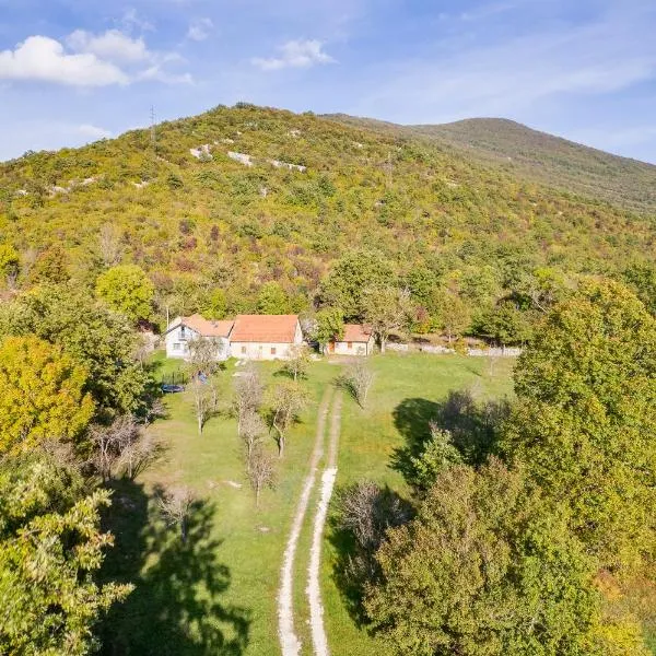 SOKOL - Secret forest house, hotel in Gračac