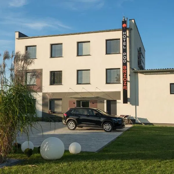 Pokoje Pod Brzozą, hotel in Strzelce Opolskie