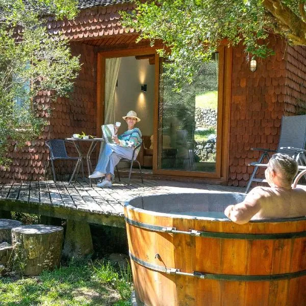 Hotel y Termas Huife, hotel v destinaci Termas De Huife