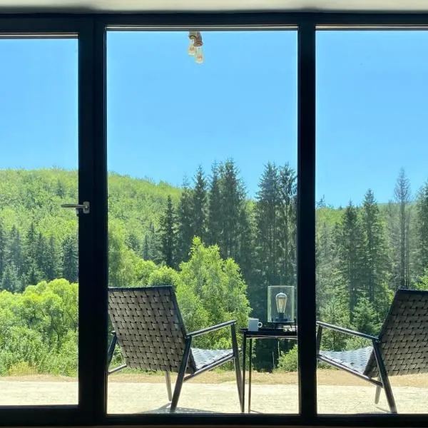 Nest in Gărâna - Cardinal House, Hotel in Wolfsberg