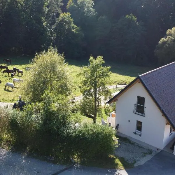 Kellerstöckl am Gut Kunterbunt, hotel v destinaci Hartl