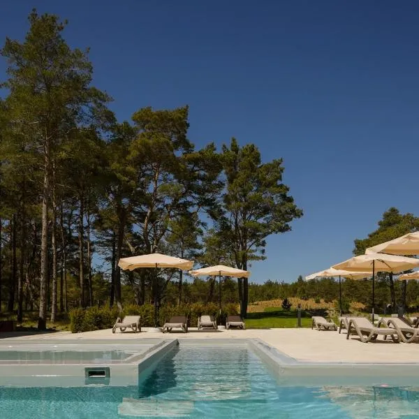 Hotel Saltic Resort & Spa Łeba, hotel in Łeba