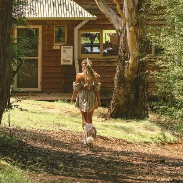 Little Olive Cabin, hotel in Porepunkah