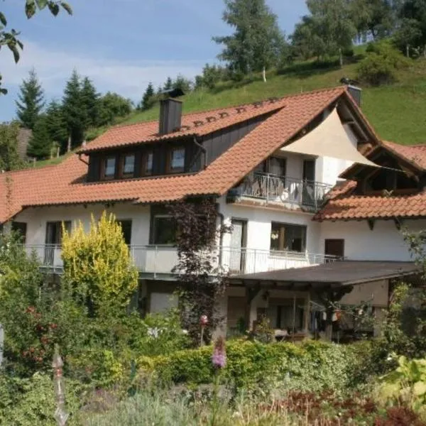 Ferienwohnungen Golla-lang, hotel v destinaci Oberharmersbach