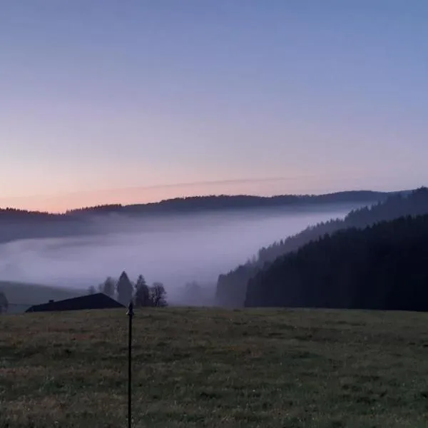 Oberengenbachhof, hotel en Eisenbach