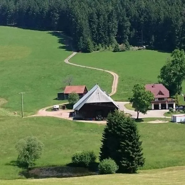 Oberengenbachhof，艾森巴哈的飯店