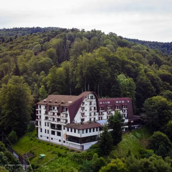 Hotel Valea cu Pesti, ξενοδοχείο σε Căpăţîneni-Ungureni