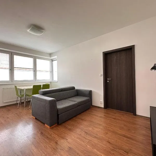 Apartmán AB kryté parkování zdarma, hotel v Českých Budějovicích