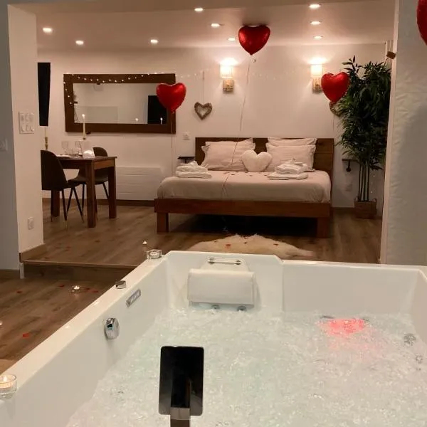 Love room Unique - Sauna / Jacuzzi, hotel in Charleville-Mézières