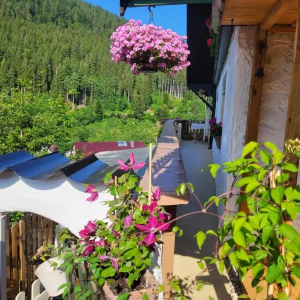Ferienwohnung Schwarzwaldglück, hotel v destinaci Baiersbronn