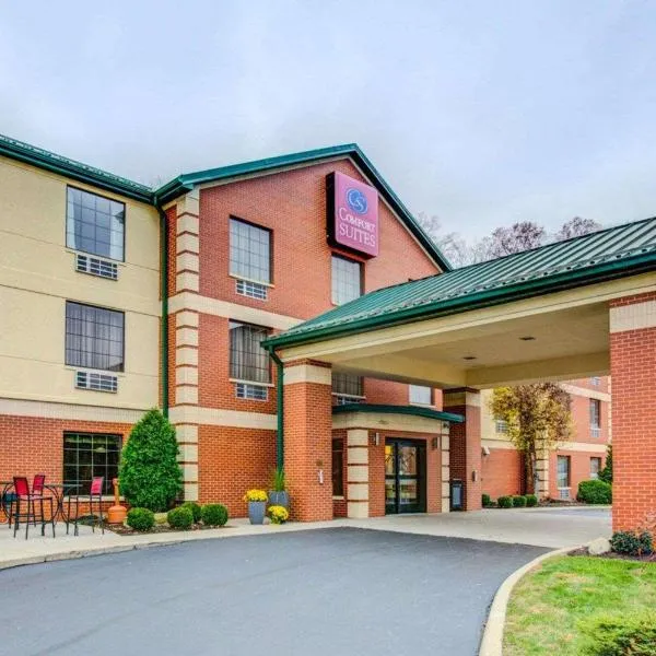 Comfort Suites Pittsburgh Airport, hotel v destinaci Coraopolis