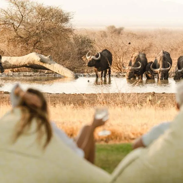 Last Word Madikwe, hotel in Madikwe Game Reserve