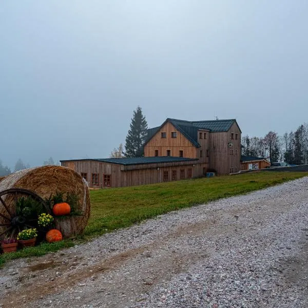 Horská bouda Krakonoš โรงแรมในแชร์นีดุล