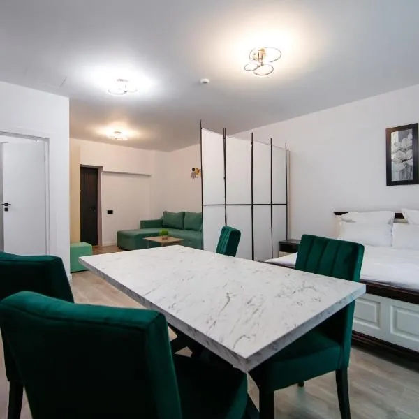 L&V Family Studio, hotel v mestu Sinaia