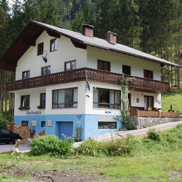 Haus Bergblick, hotel v destinaci Hinterstoder