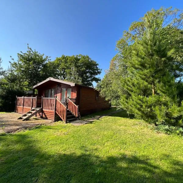Mallard Lodge - Arscott Lodges, Hotel in Shrewsbury