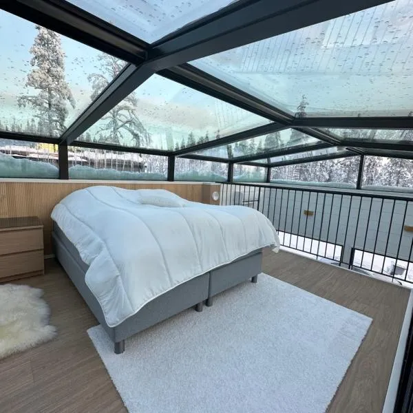 Levi Aurora Sky, hotel in Levi