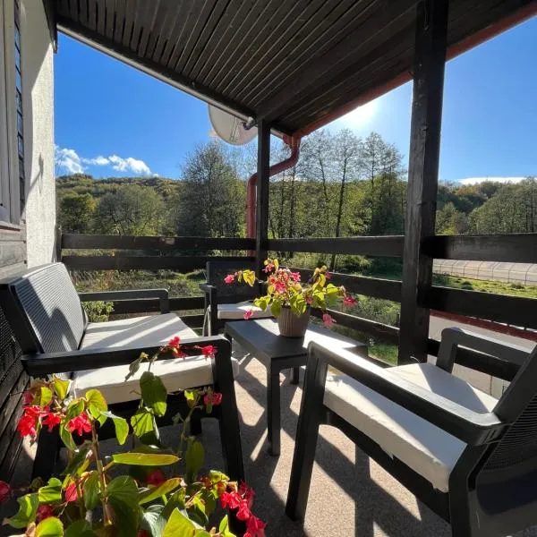 Guest house Malina, hotel in Lukavica