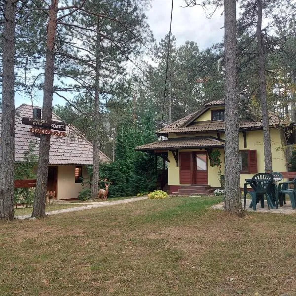 Planinska kuća Košuta, hótel í Bajina Bašta