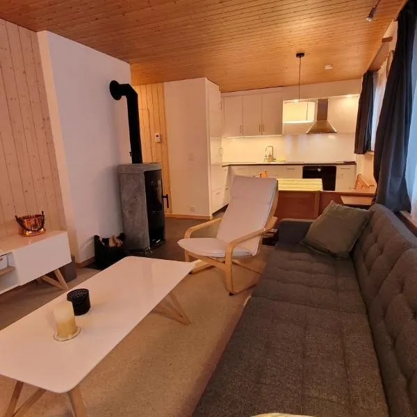 Chalet Meise, hotel v destinaci Obergesteln